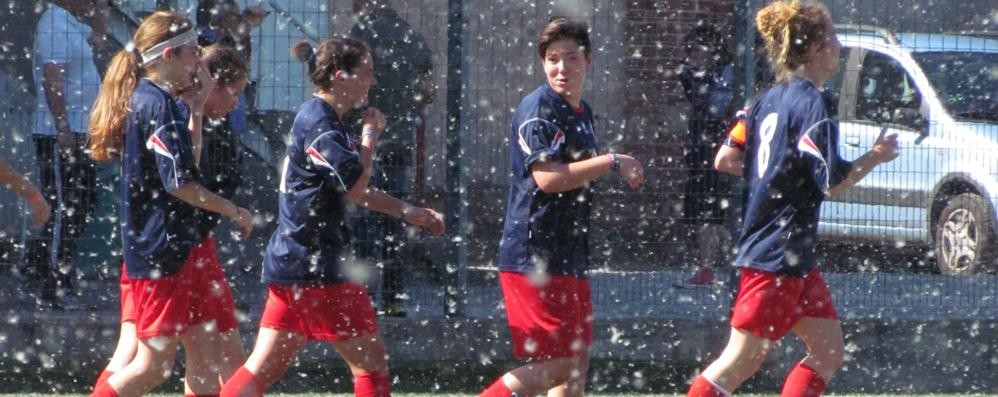 Invasione di pioppi allo stadio Sada