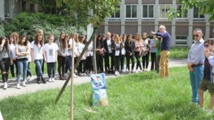 Monza, l’albero in memoria di Elio Bonavita