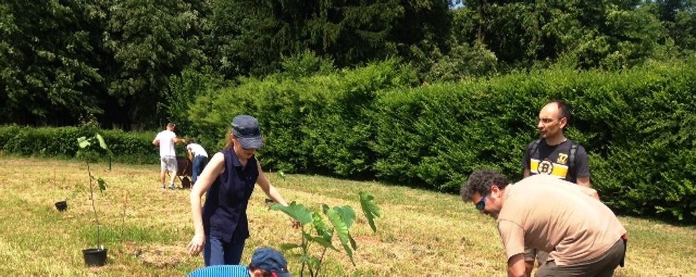 Monza - Ragazzi e adulti all’opera per mettere a dimora le prime piantine del Frutteto matematico