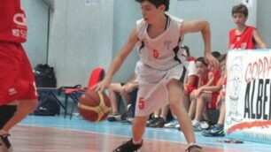 Basket giovanile internazionale a Monza con la Coppa Alberto Giove