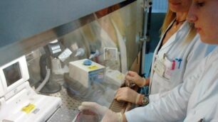 Un nuovo caso di legionella a Cesano Maderno