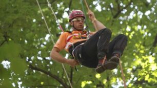 Campionati europei tree climbing al parco di monza