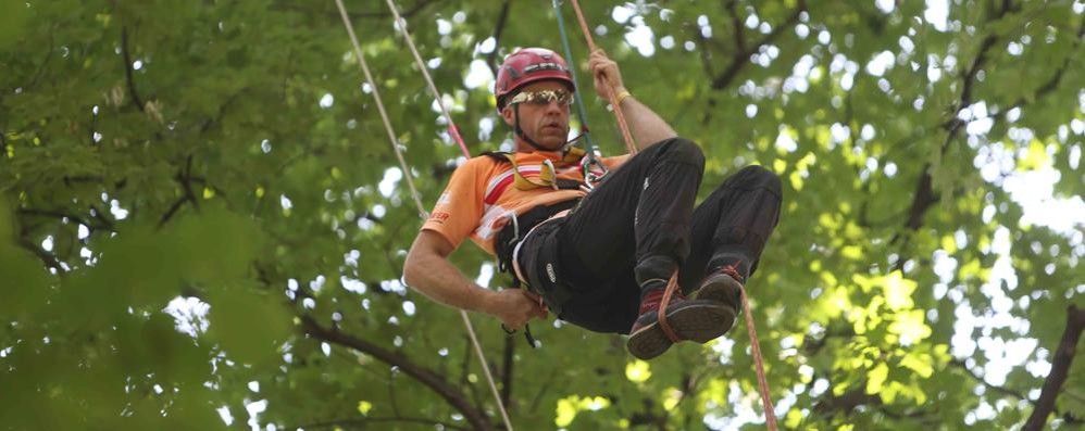 Campionati europei tree climbing al parco di monza