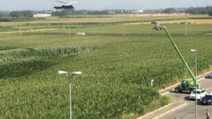 Forze dell’ordine intorno al campo di grano a Misinto