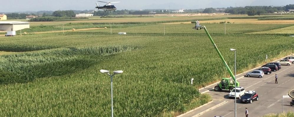 Forze dell’ordine intorno al campo di grano a Misinto