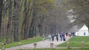 Viale Mirabello al parco di Monza