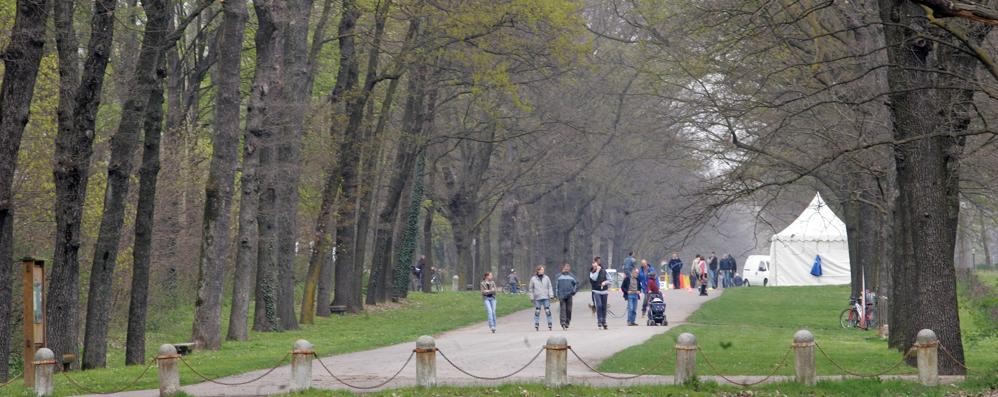 Viale Mirabello al parco di Monza