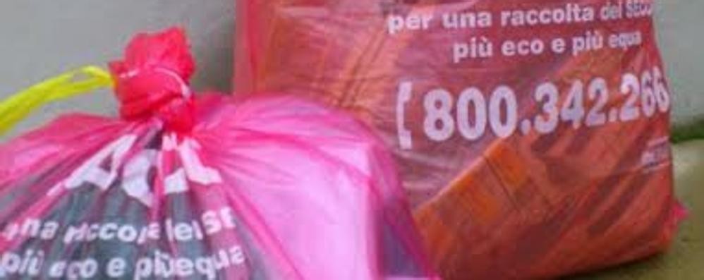 Ecuosacco: spunta  l’effetto indesiderato
A Lesmo abbandonano i rifiuti per strada