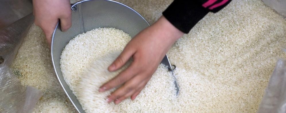 Il riso Milano spopola sugli scaffali della Brianza