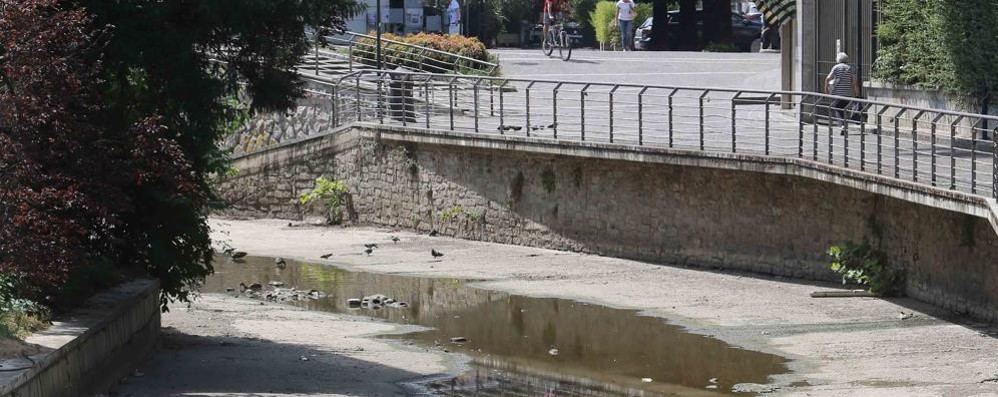 Monza, il Lambro in secca