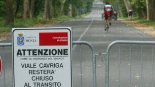 Monza, viale Cavriga che attraversa il parco