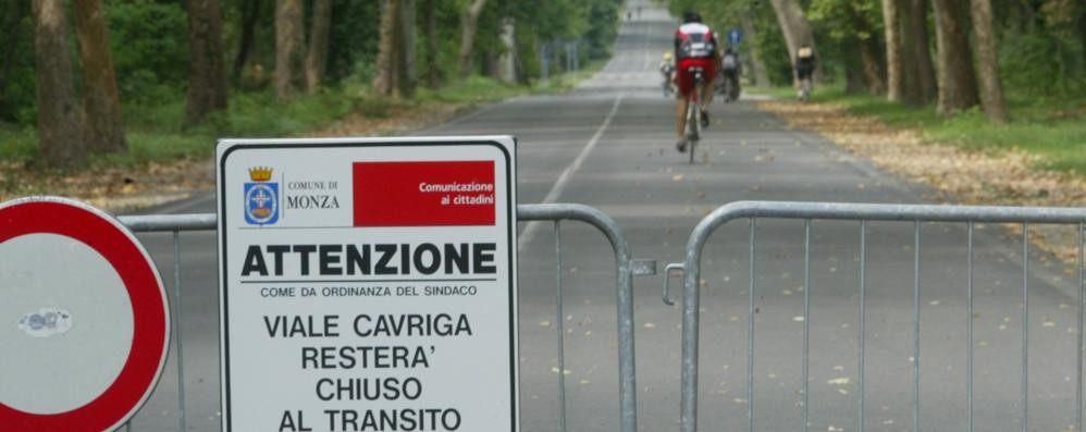 Monza, viale Cavriga che attraversa il parco