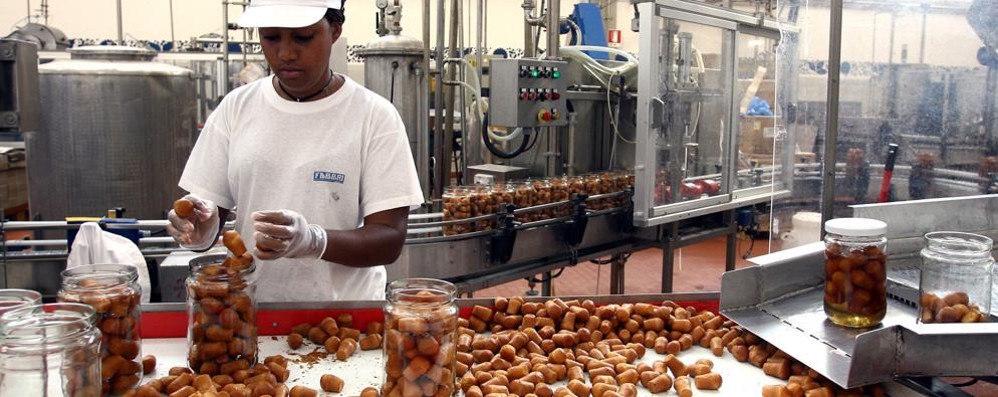 Uno straniero al lavoro in Lombardia