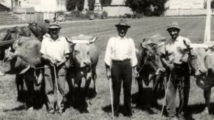 Vimercate, un’immagine vintage della festa di Santo Stefano