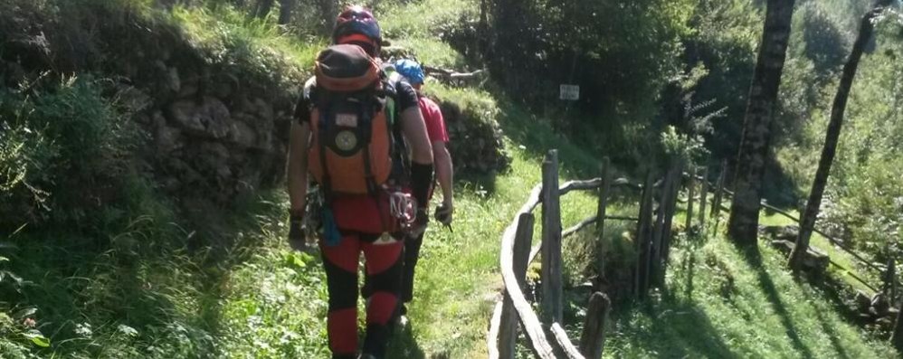 Soccorsi al lavoro nei boschi