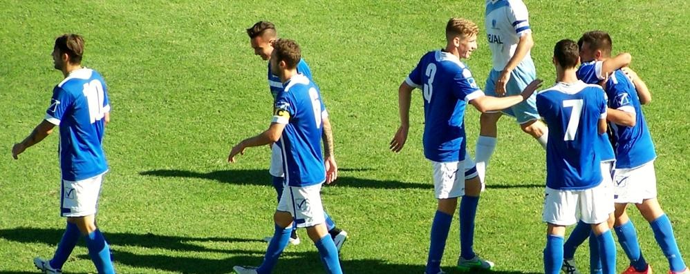 L'esultanza azzurra dopo il sesto gol al Sondrio firmato da Matteo Cavallini