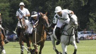 Una partita di polo