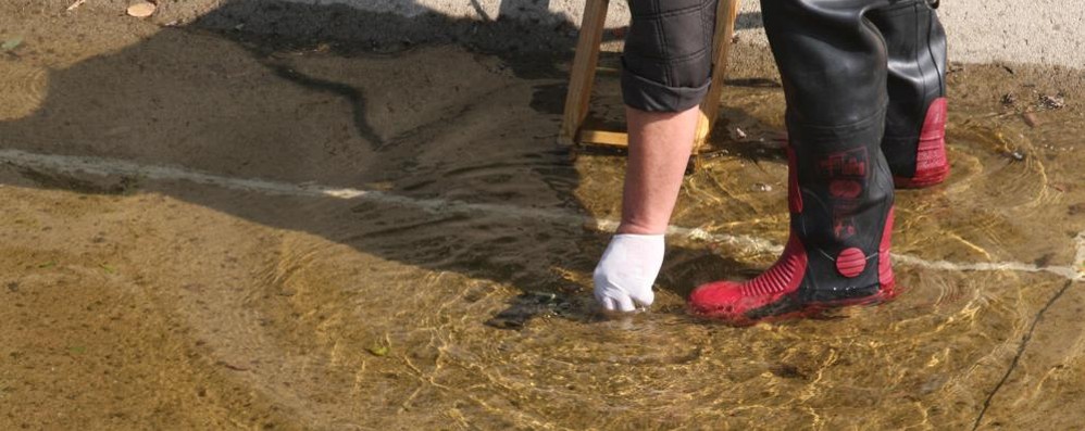 Monza, via Adigrat: ritrovamento di pistola, casco, guanti e giubbotto nel canale Villoresi