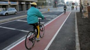 Il 14enne stava pedalando sulla pista ciclabile