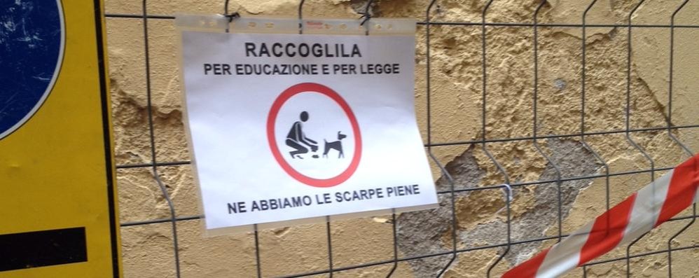 Monza, la protesta di via Zucchi contro la cacca dei cani lasciata sulla strada