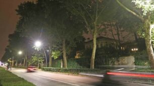 Monza, illuminazione a led in vialone Cesare Battisti