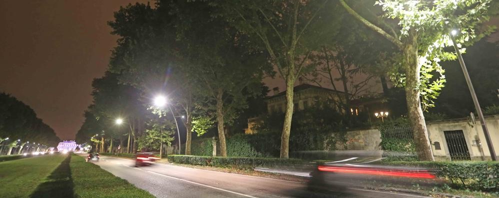 Monza, illuminazione a led in vialone Cesare Battisti