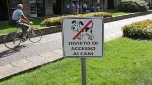 Monza, stop ai cani nelle aree verdi: caso in consiglio e raccolta firme