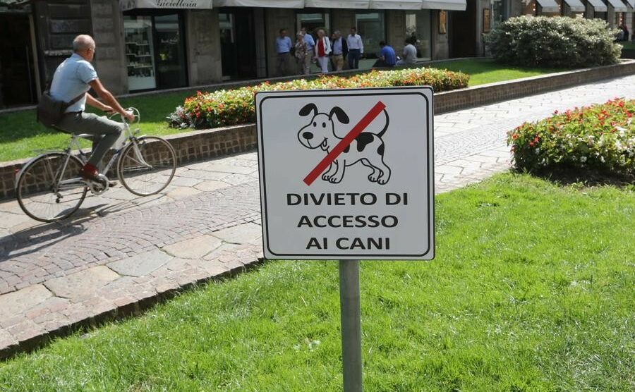 Monza, stop ai cani nelle aree verdi: caso in consiglio e raccolta firme
