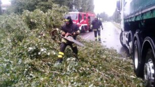 Verano, cade una pianta e  arrivano i pompieri: disagi per il maltempo in tutta la Brianza