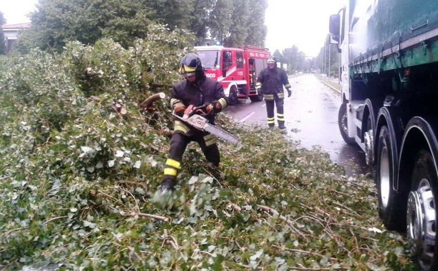 Verano, cade una pianta e  arrivano i pompieri: disagi per il maltempo in tutta la Brianza