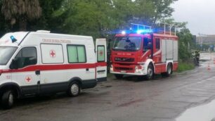 I soccorsi a Lentate sul Seveso per il recupero (fallito) di un vitello in fuga