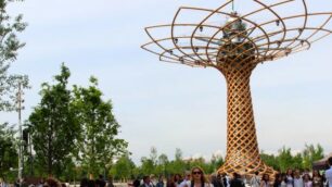 L’albero della vita a Expo 2015