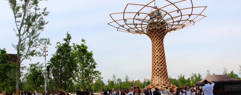 L’albero della vita a Expo 2015