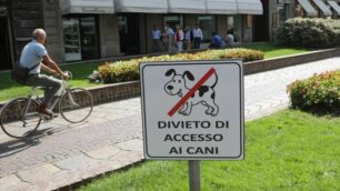 I divieti ai cani