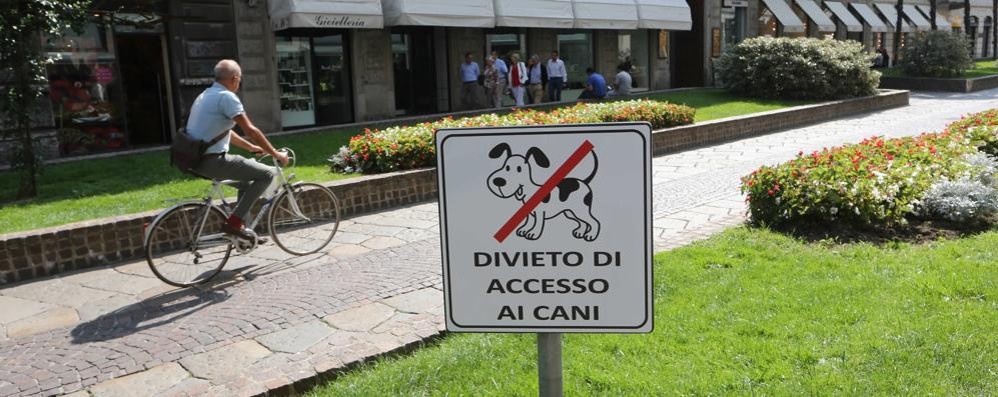 I divieti ai cani