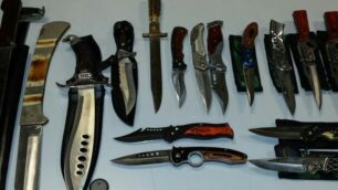 Alcune delle armi sequestrate dai carabinieri al 44enne desiano