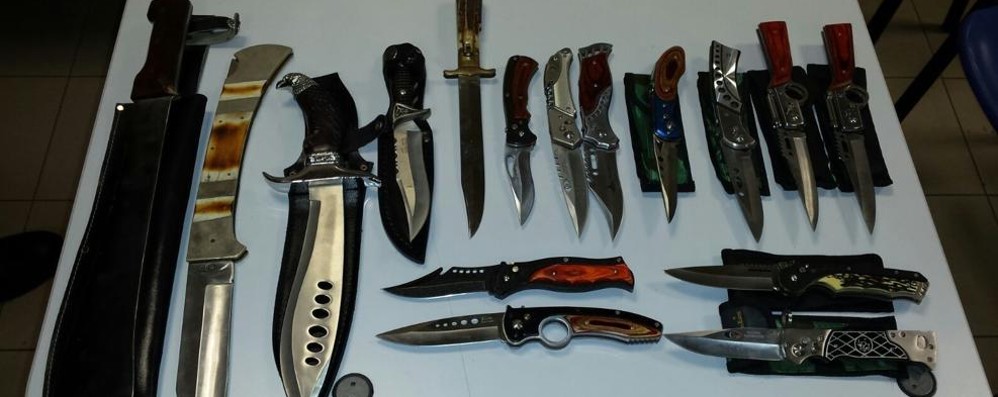Alcune delle armi sequestrate dai carabinieri al 44enne desiano