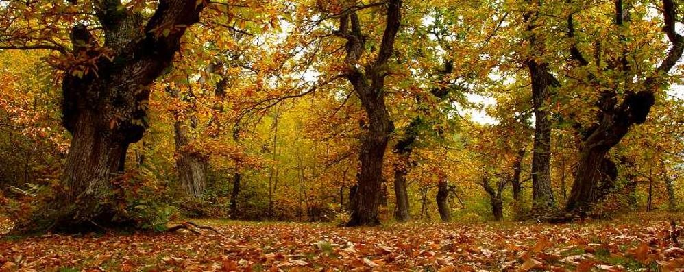 È autunno, anche per il meteo