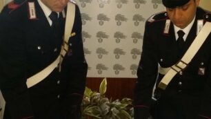 Monza: 21enne incensurata trovata con una pistola calibro 38 in borsetta