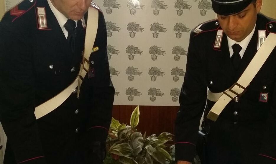 Monza: 21enne incensurata trovata con una pistola calibro 38 in borsetta