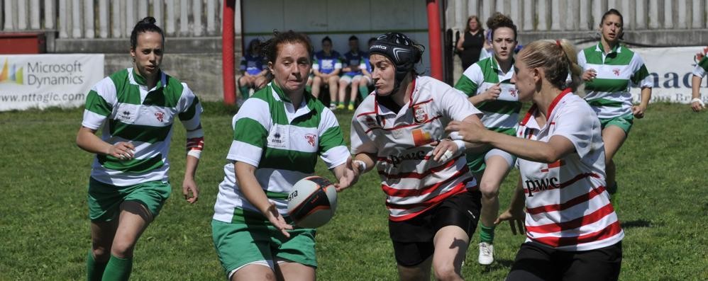 Rugby, una foto d’archivio delle Ringhio