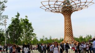 L’Albero della  vita di Expo