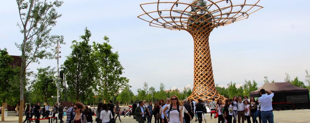 L’Albero della  vita di Expo