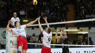 Volley, Gi Group Team Monza: Verhees e Jovovic