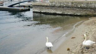 Como, il livello dell’acqua del lago è sempre più basso