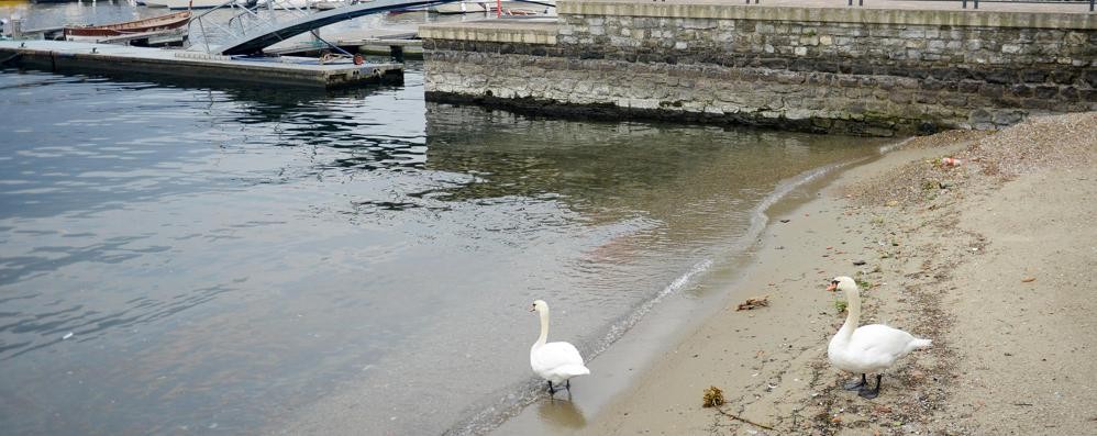 Como, il livello dell’acqua del lago è sempre più basso