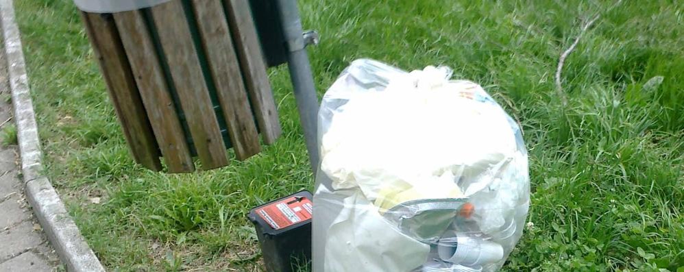 Rifiuti abbandonati in un parco