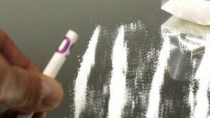 Non era cocaina quella trovata a casa del monzese