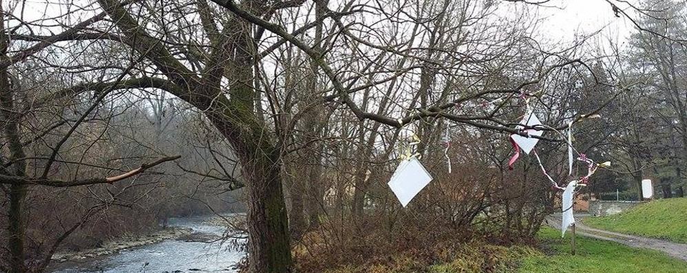 Carate Brianza, l’albero delle poesie sulla riva del Lambro