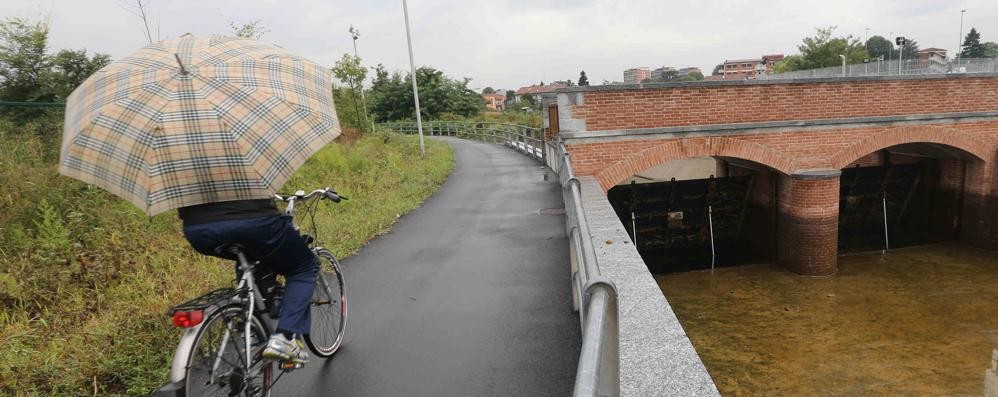 Una pista ciclabile di Monza